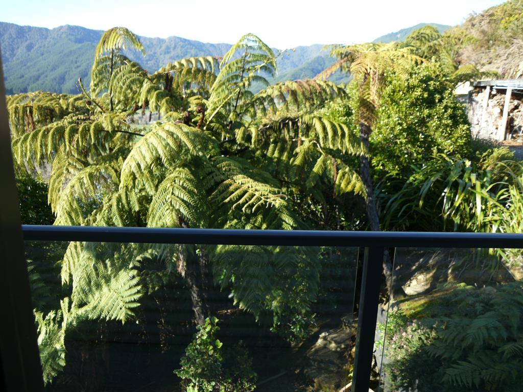 Okiwa Bay Lodge Picton Esterno foto