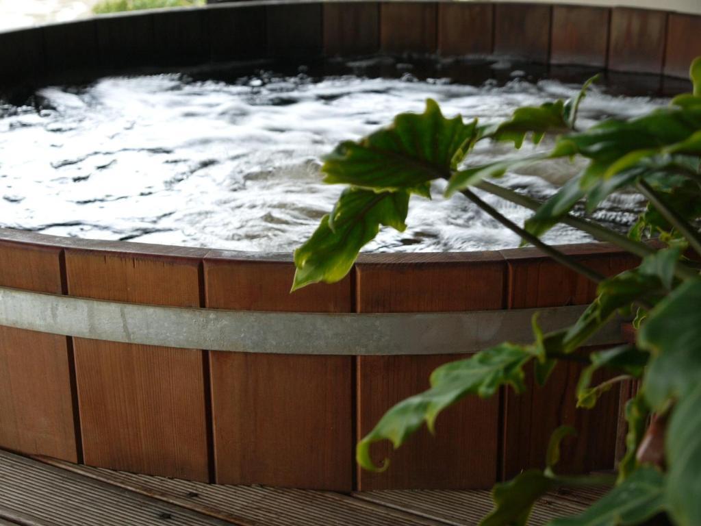 Okiwa Bay Lodge Picton Esterno foto