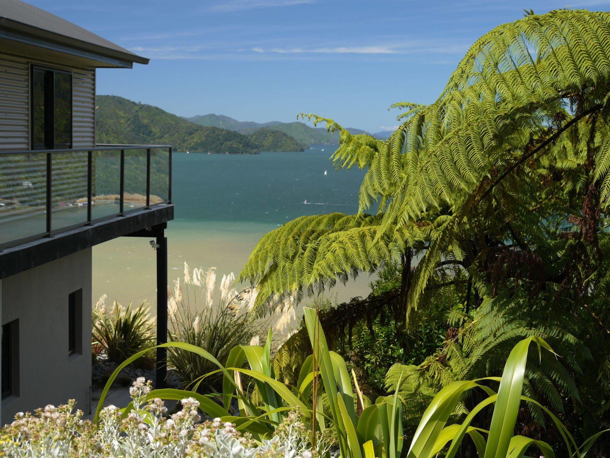 Okiwa Bay Lodge Picton Esterno foto